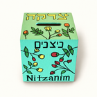 Personalized Tulip Tzedakah Box