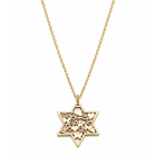 Good Luck Star of David Necklace