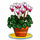 Israeli Cyclamen Flower Pot Metal Table Décor