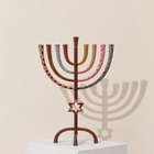 Star of David Heritage Enamel Menorah