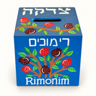 Personalized Pomegranate Tzedakah Box