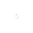 Mini Star of David Charm